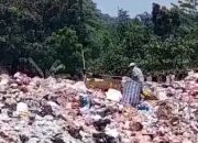 MUI Tegas Fatwakan Haram Buang Sampah di Sungai Laut dan Danau