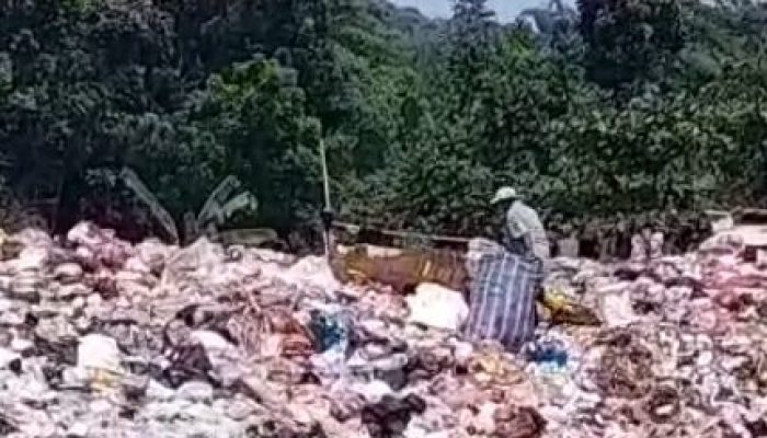 MUI Tegas Fatwakan Haram Buang Sampah di Sungai Laut dan Danau
