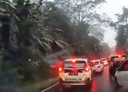 Viral Berulah Buang Sampah Serampangan, Pejabat Dishub Jakarta Dipecat