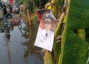 Waduh, Foto Pj Wali Kota Bekasi Nangkring Diatas Pohon Pisang Seolah Memandangi Jalan Rusak Banjir di Jatirangga