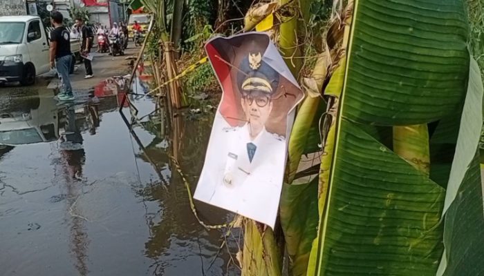 Waduh, Foto Pj Wali Kota Bekasi Nangkring Diatas Pohon Pisang Seolah Memandangi Jalan Rusak Banjir di Jatirangga