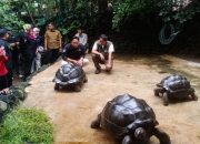 Menhut Raja Juli Sambangi Aviary Irfan Hakim, Diskusikan Gerakan Sayangi dan Lestarikan Satwa Indonesia