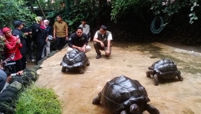 Menhut Raja Juli Sambangi Aviary Irfan Hakim, Diskusikan Gerakan Sayangi dan Lestarikan Satwa Indonesia