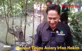 Menhut Raja Juli Sambangi Aviary Irfan Hakim
