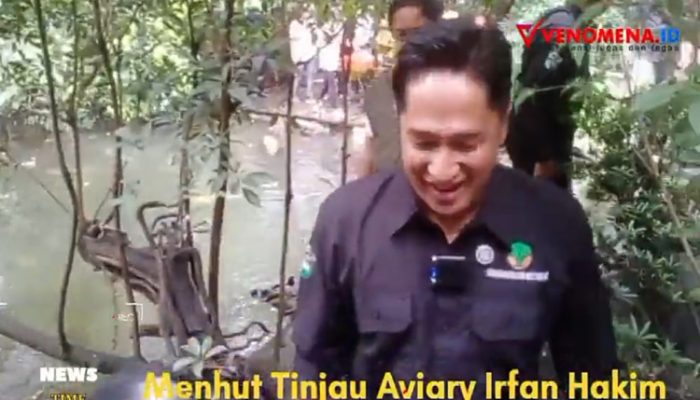 Menhut Raja Juli Sambangi Aviary Irfan Hakim