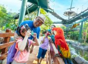 Februari Makin Seru di Ancol, Banyak Bonus Menanti