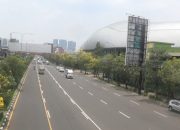 Serasa di Jepang, Bunga Tabebuya Mekar di Sejumlah Ruas Jalan Kota Bekasi