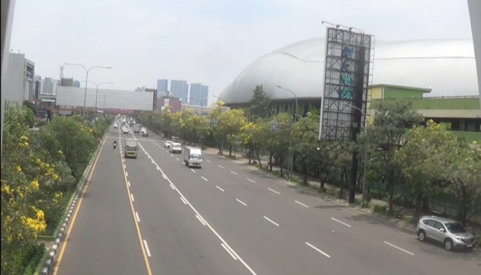 Serasa di Jepang, Bunga Tabebuya Mekar di Sejumlah Ruas Jalan Kota Bekasi