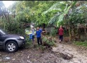 Perkembangan Situasi dan Penanganan Bencana di Indonesia pada 17 November 2025