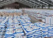 PT Pupuk Indonesia Catat Rekor Penghargaan, Bukti Konsistensi dan Inovasi BUMN Pangan Nasional