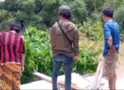 Abrasi Kali Bekasi Terus Mengganas, 5 Rumah Warga Teluk Pucung Ambruk dan Terancam Hilang