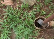 Masih Banjir, Wali Kota Bekasi Desak Wajibkan Swasta Bangun Sumur Resapan