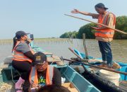 Kawali Sukses Berdayakan Warga Pesisir Pemalang Pelajari Pemetaan Ekologis Independen Melalui Pelatihan MRV